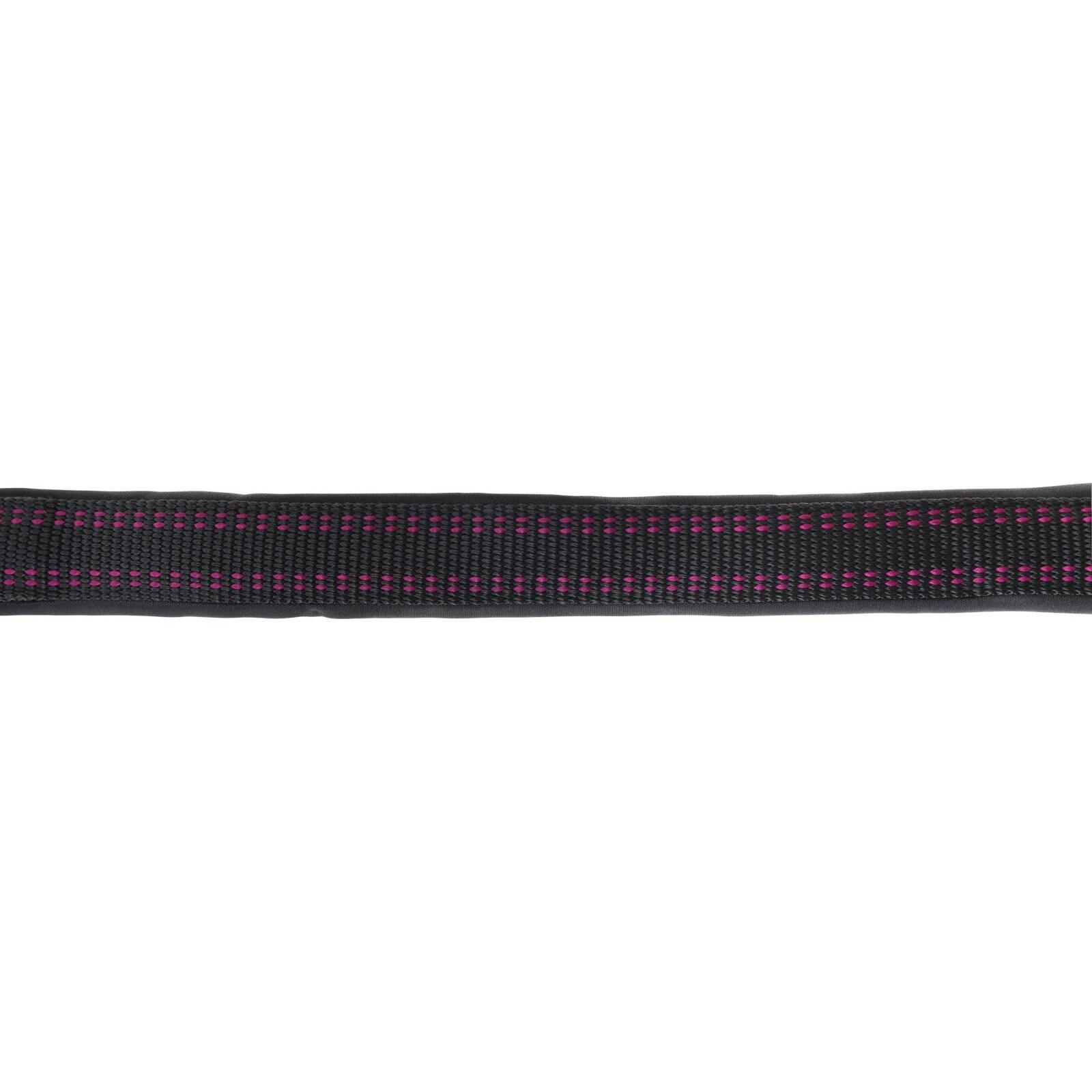 Licol pour cheval Covalliero Royal 3/4