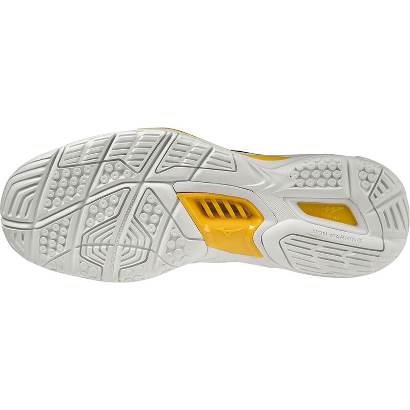 Chaussures indoor Mizuno Wave Stealth V