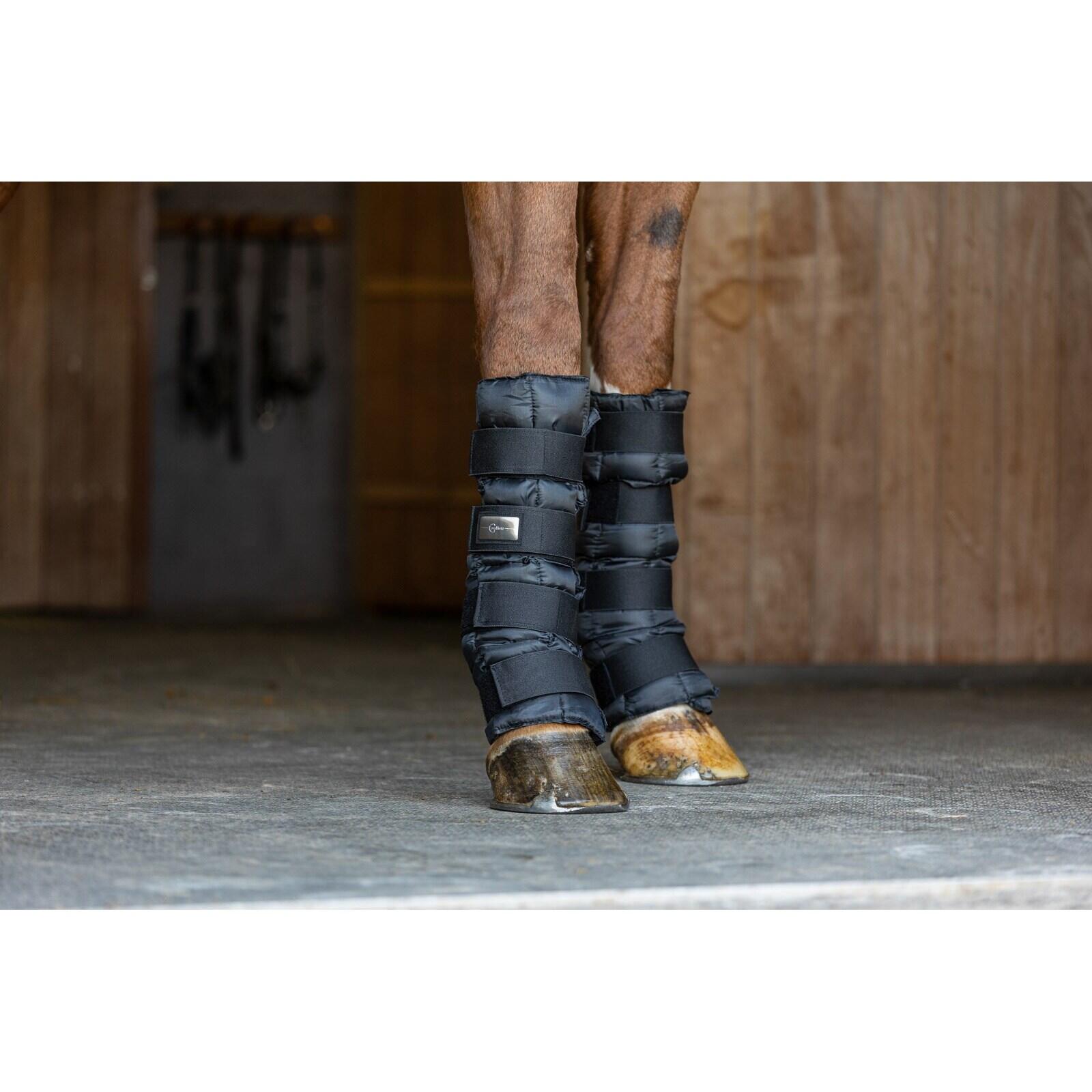 Guêtres refroidissantes pour cheval Covalliero 3/4