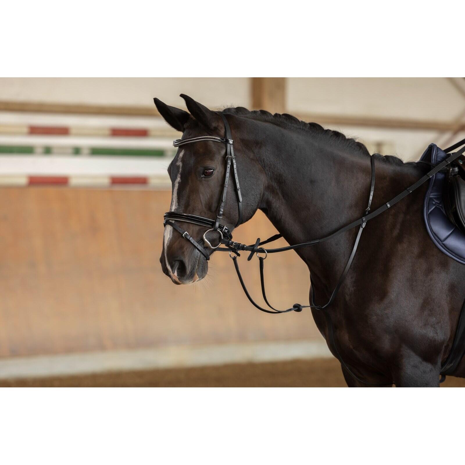 Martingale à anneaux en cuir pour cheval Covalliero 2/2