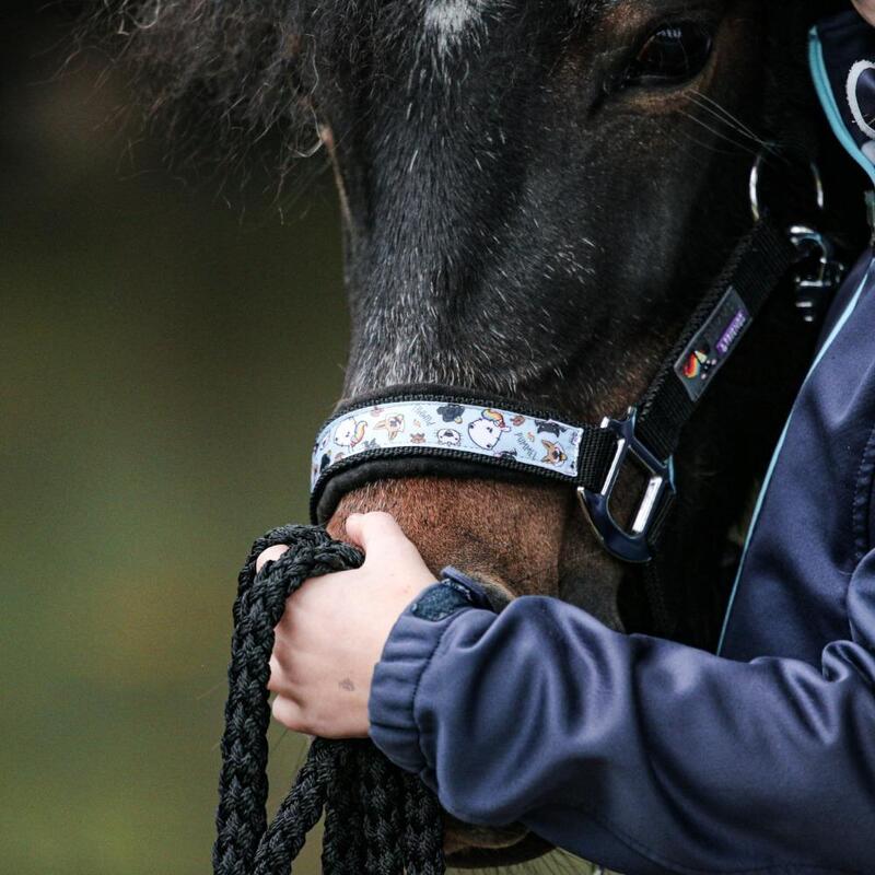 Halster voor paarden EQuest Uno Plus Pummel Friends