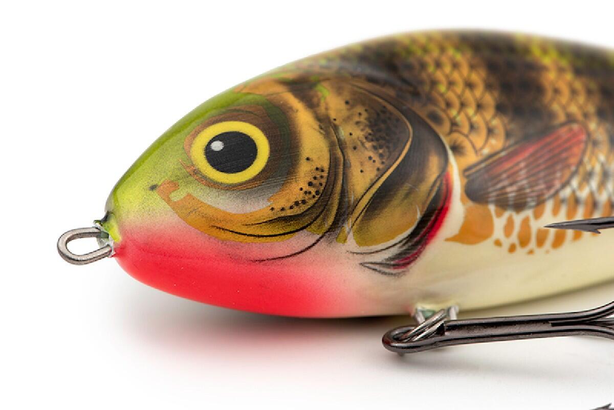 SALMO picture
