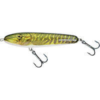 SALMO picture