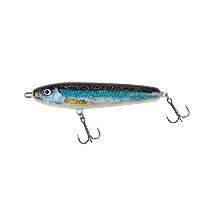 SALMO picture