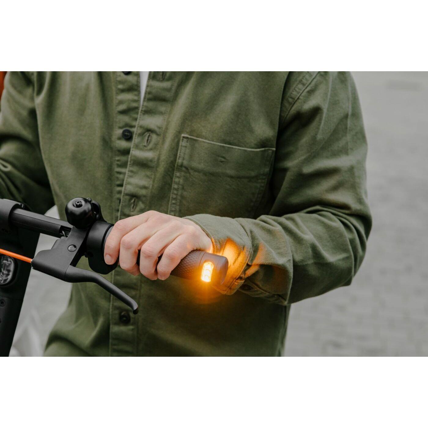 Trottinette électrique Segway-Ninebot KickScooter F2 Pro E 5/6