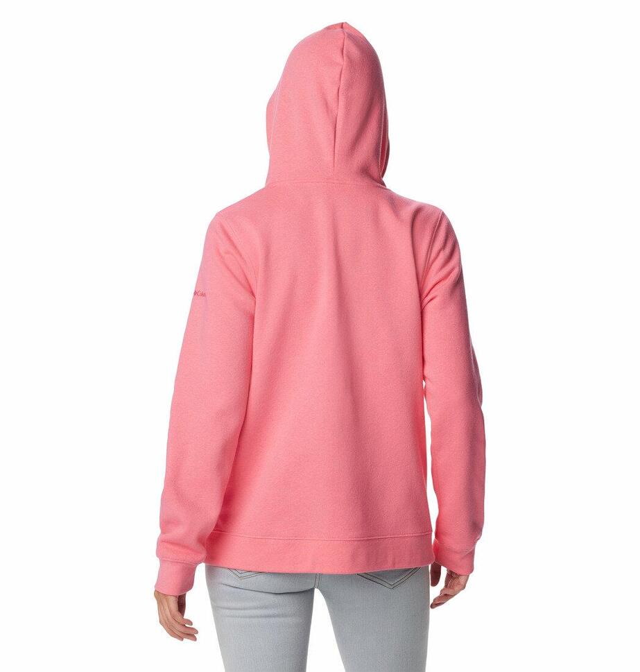 Bluza Sportowa Columbia Trek Graphic Hoodie Damska