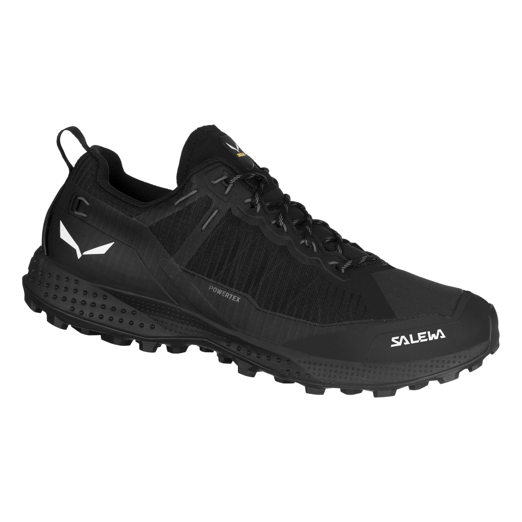 Chaussures Hommes Salewa Pedroc Ptx Waterproof noir 1/7
