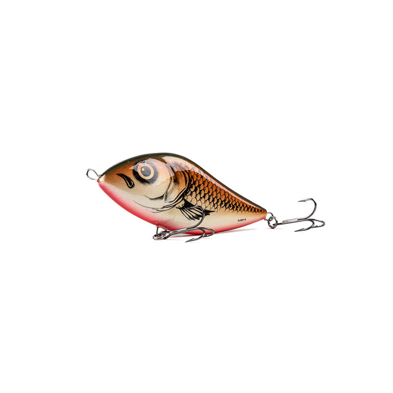 SALMO picture