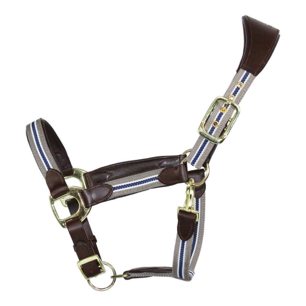 Horse Halter with EQuest Unique Brass Finish