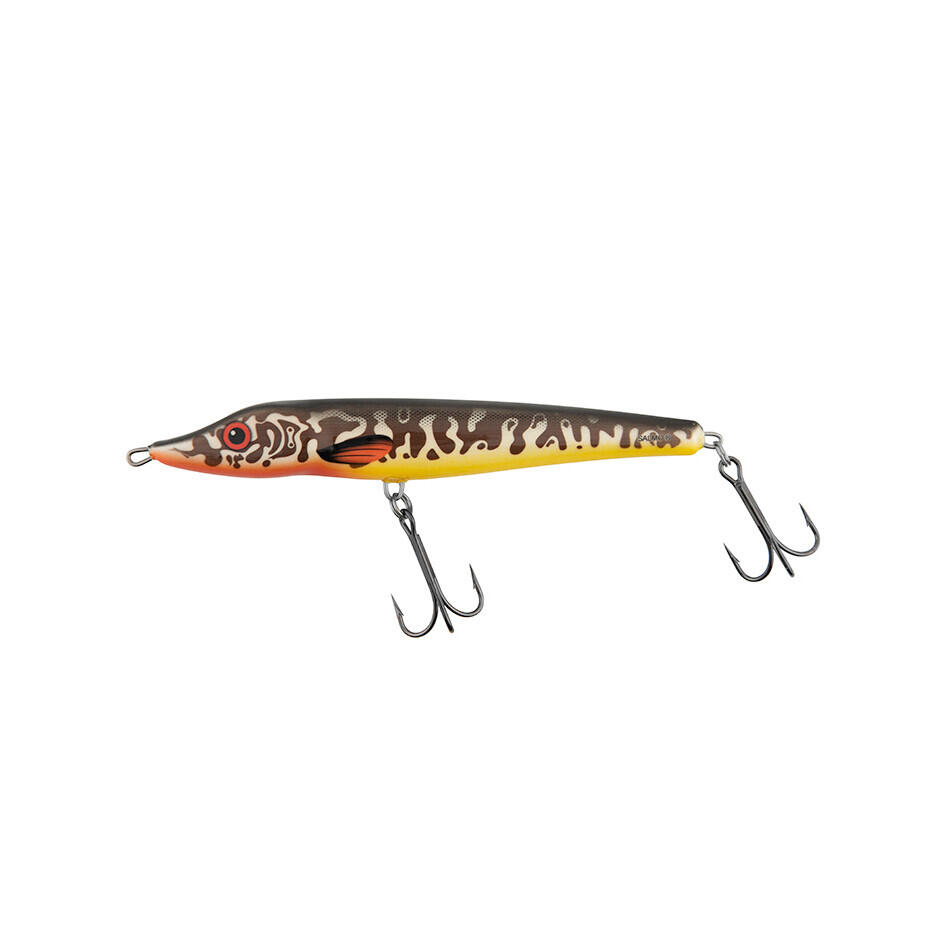 SALMO picture