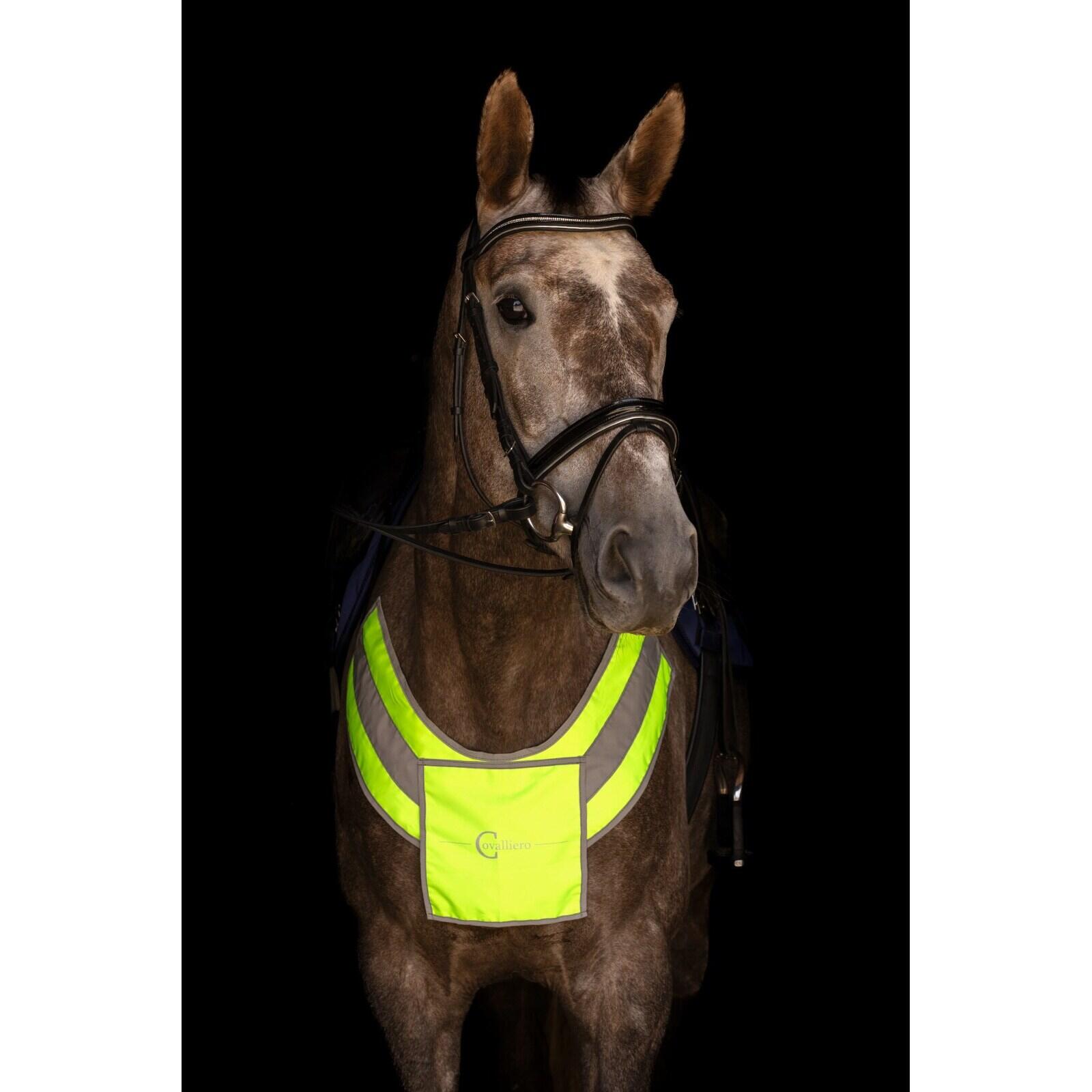 Collier de chasse réfléchissant pour cheval Covalliero 2/2
