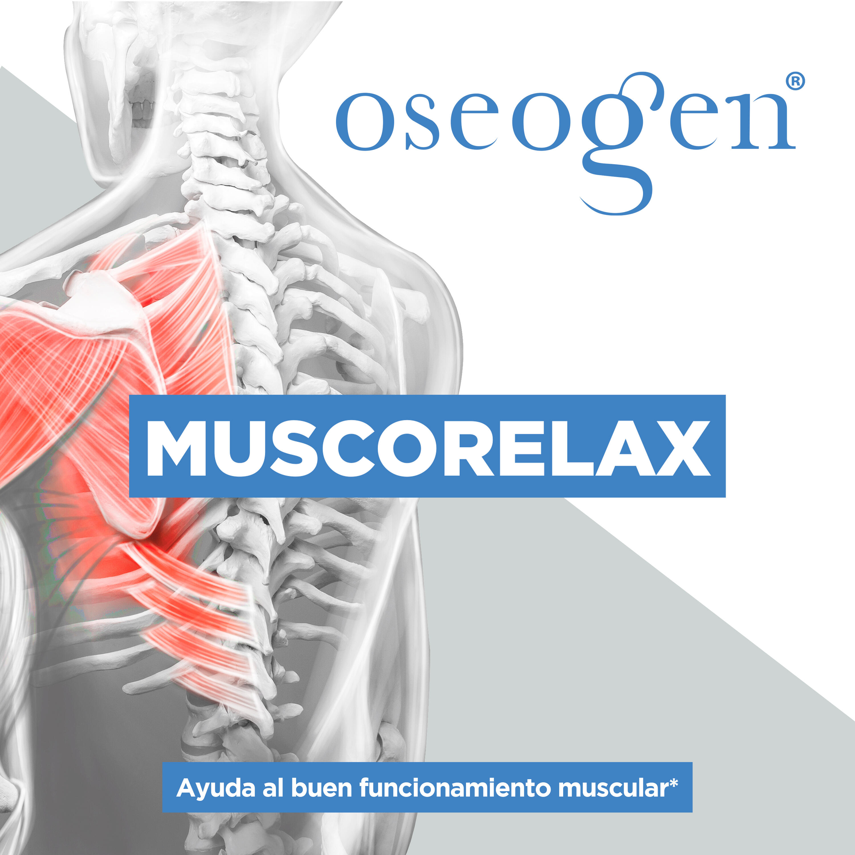 Muscorelax - Para músculos, tendones y ligamentos - 60 comprimidos - DRASANVI 6/6