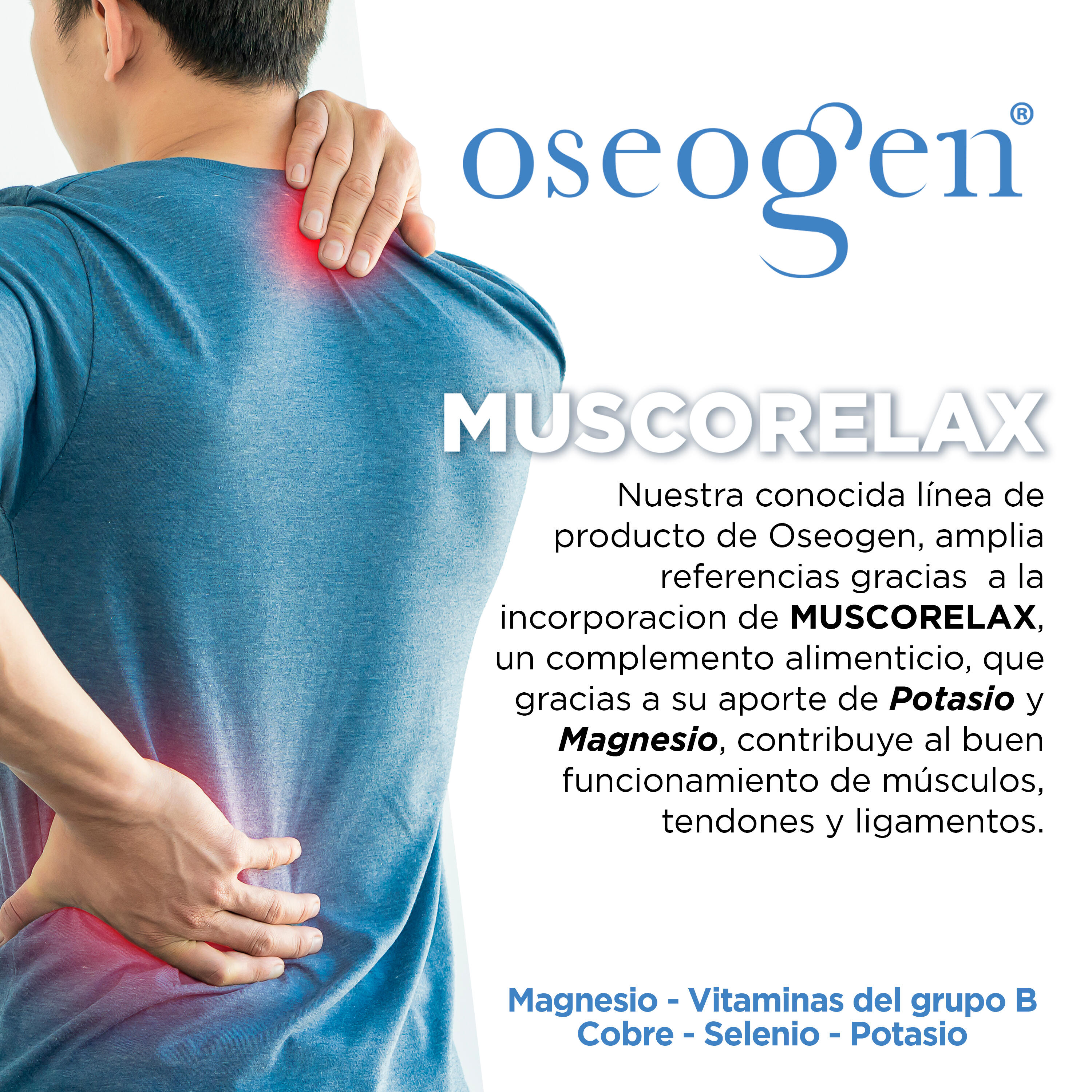 Muscorelax - Para músculos, tendones y ligamentos - 60 comprimidos - DRASANVI 2/6
