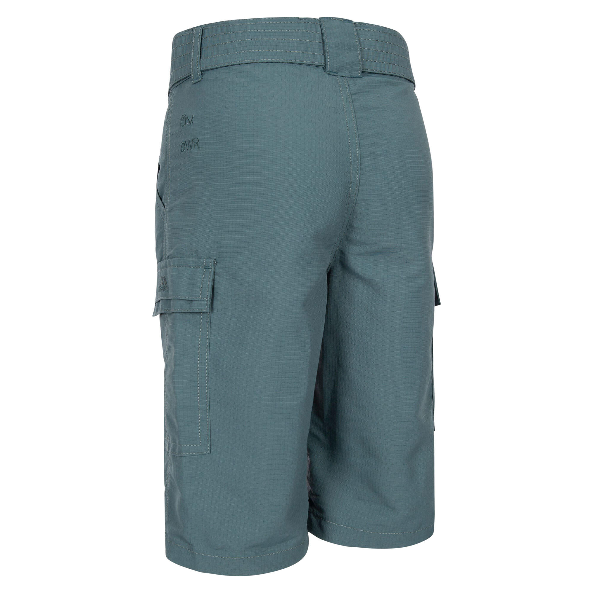 Childrens/Kids Craftly Shorts (Spruce Green) 2/4