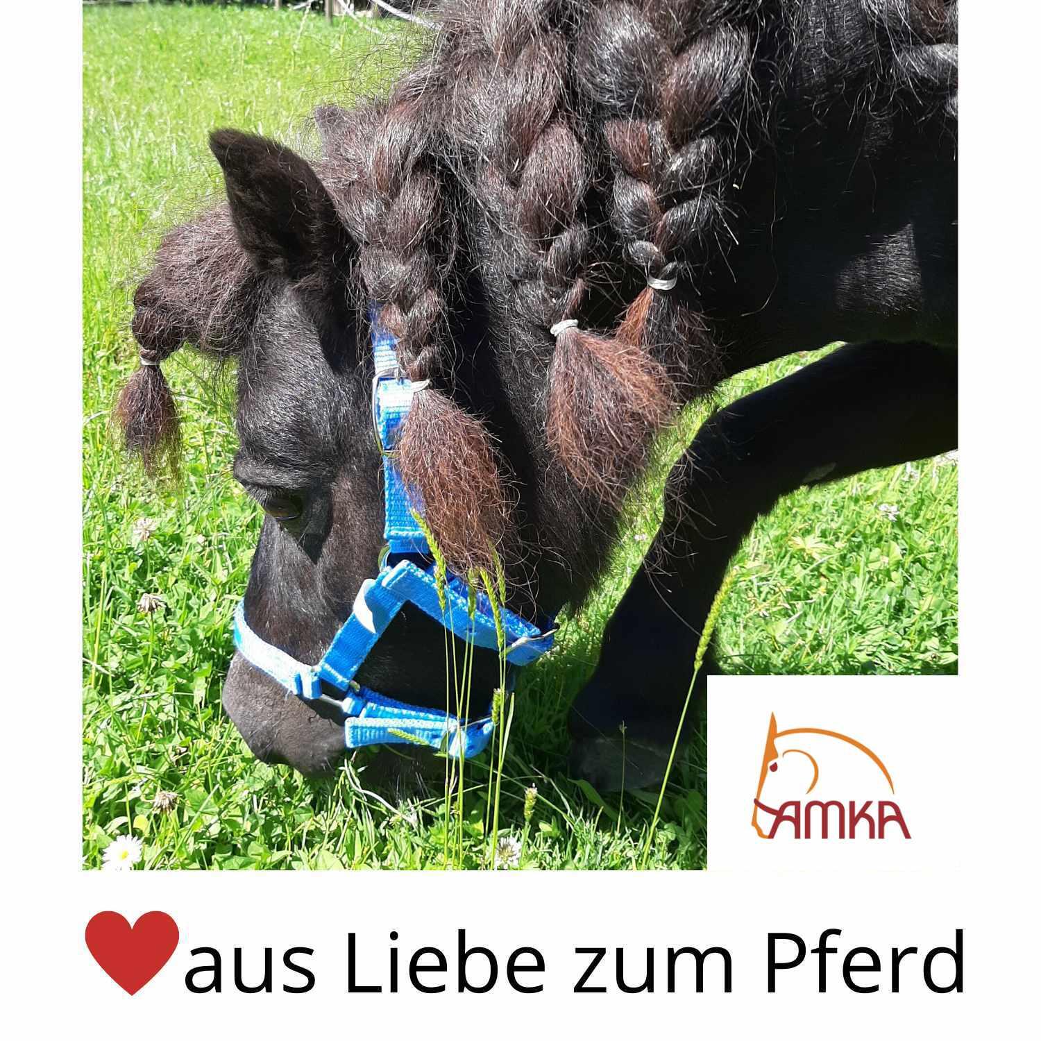 AMKA Ponytrense Wassertrense Pony Gebiss Stärke 12 mm Ringe 50 mm 4/4