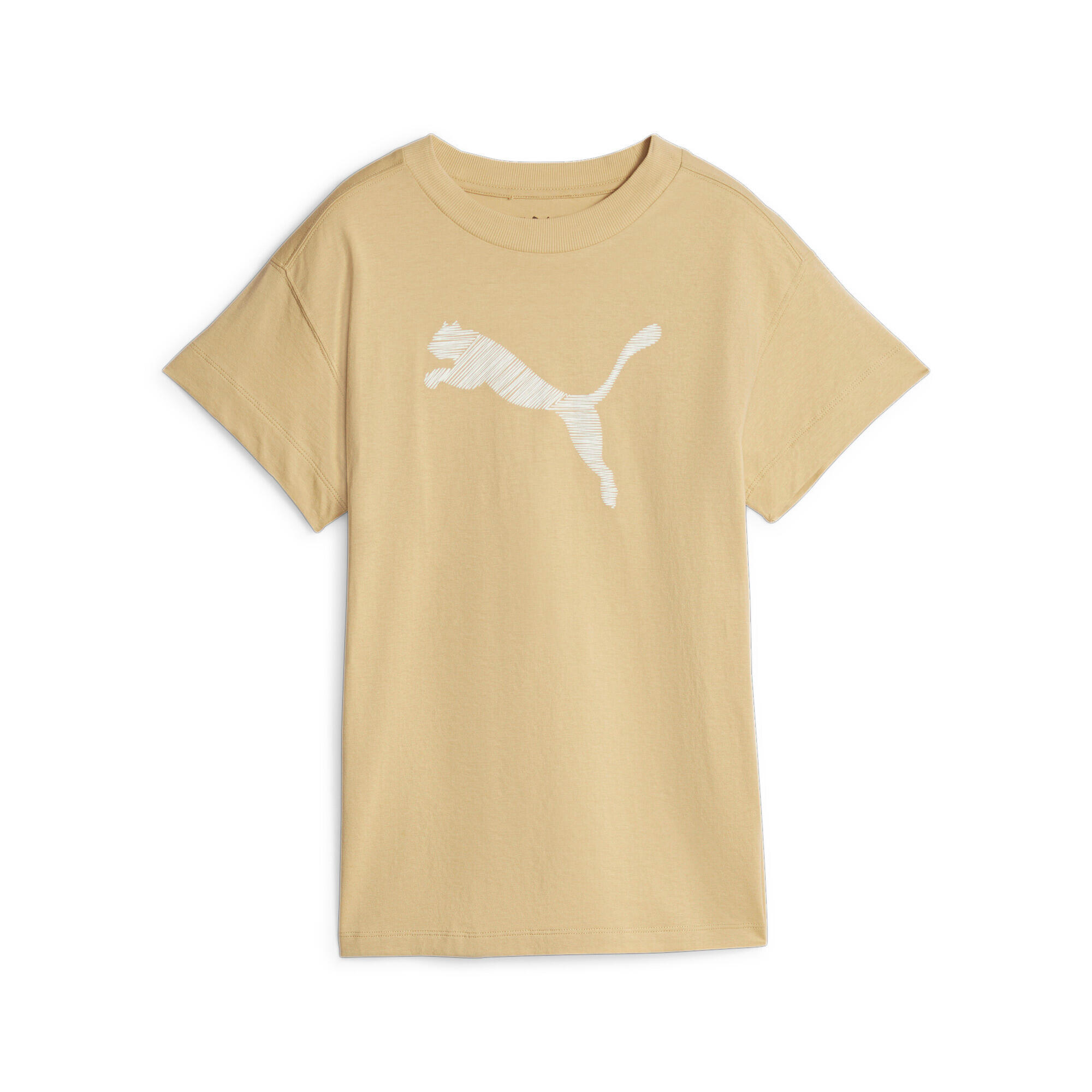 PUMA picture