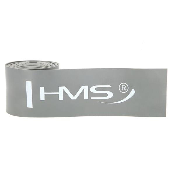 HMS picture