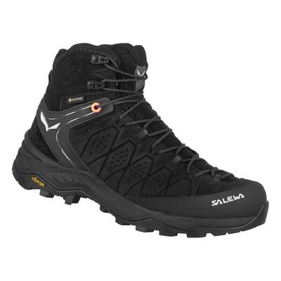 Turnschuhe Frau Salewa Ws Alp 2 Schwarz