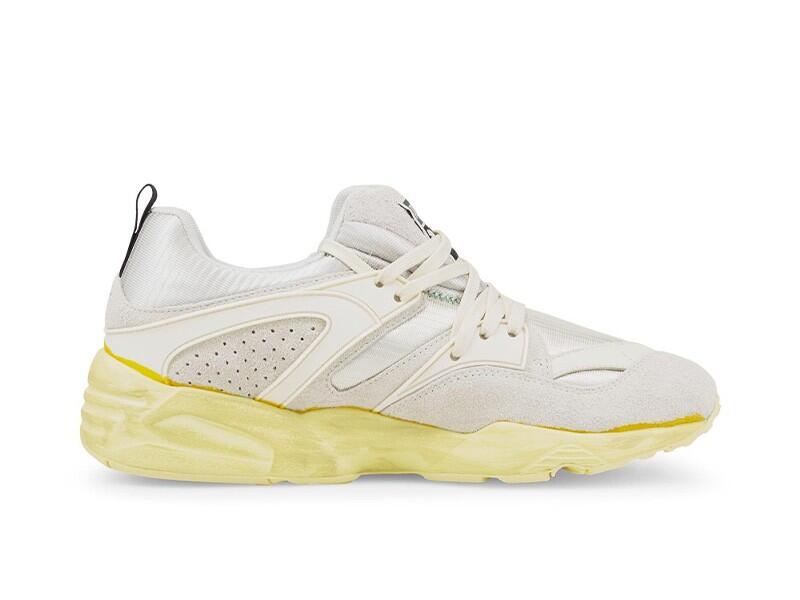 PUMA picture