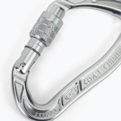 Mousqueton Climbing Technology Nimble Evo SG – À Vis, Ergonomique Et Robuste Pour Escalade Sportive Intense