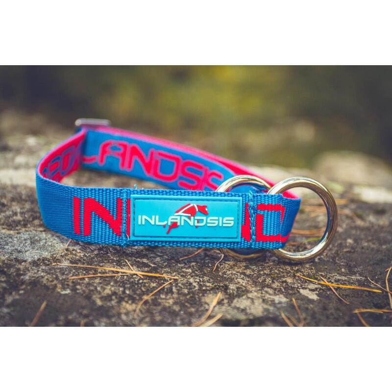 Collar semi-deslizable para perro Névé SC - Inlandsis 4/6