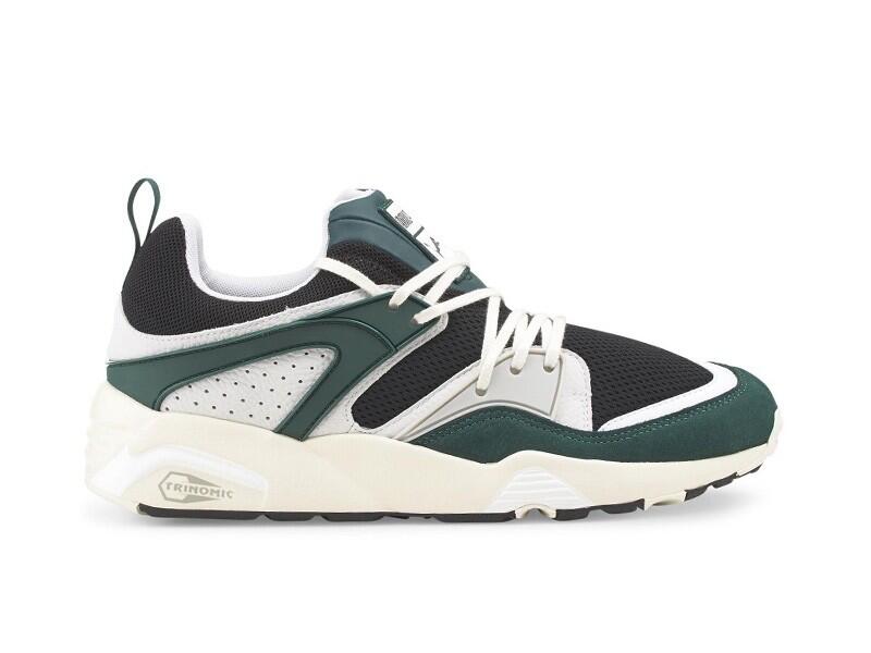 PUMA picture