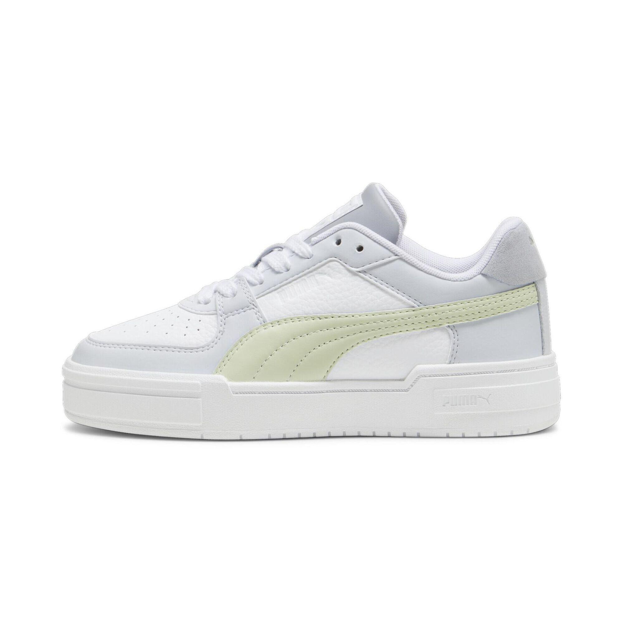 PUMA picture