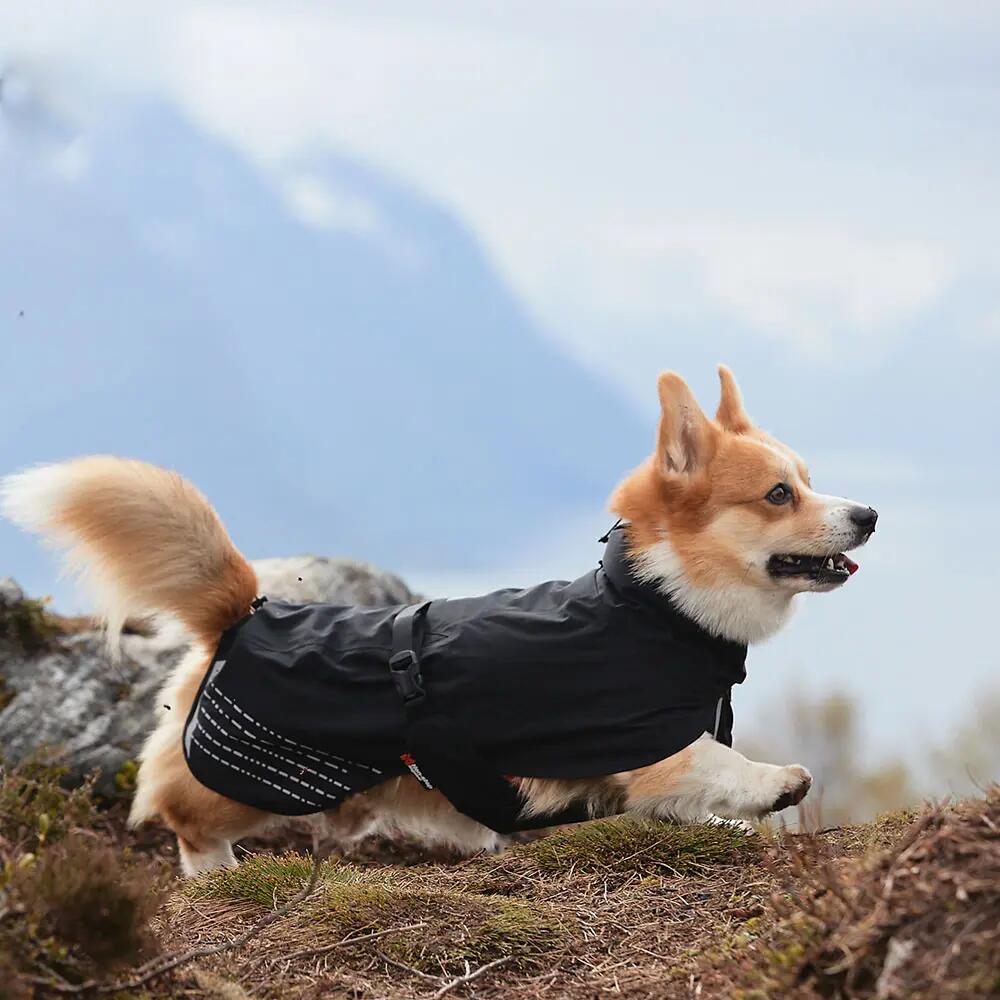 Imperméable Fjord Non-stop dogwear dog mackintosh 7/7