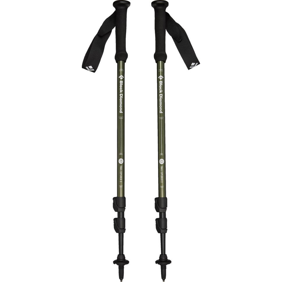 Kije trekkingowe Black Diamond Explorer 3 Trekking Poles