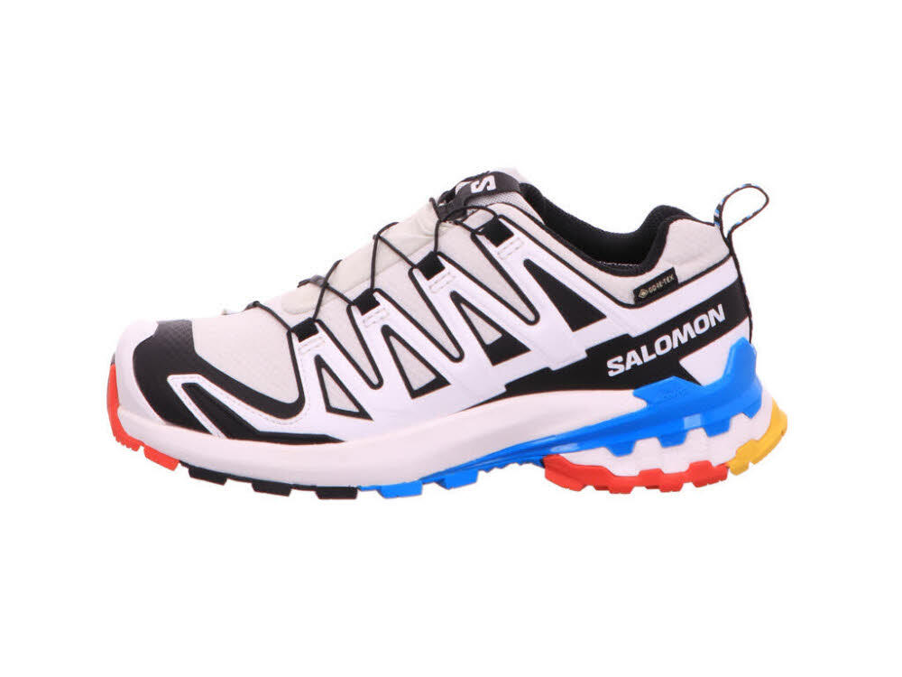 Outdoorschuh Schuhe XA PRO 3D V9 GTX W Luna 2/7