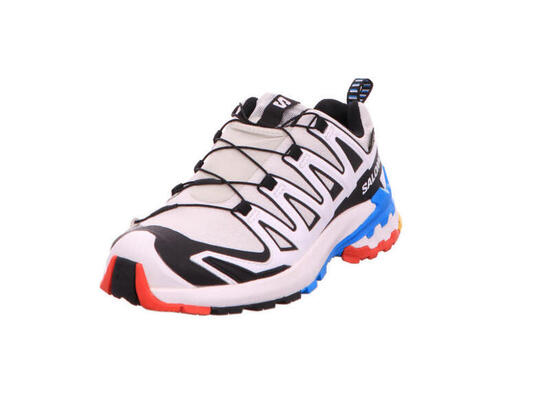 Outdoorschuh Schuhe XA PRO 3D V9 GTX W Luna