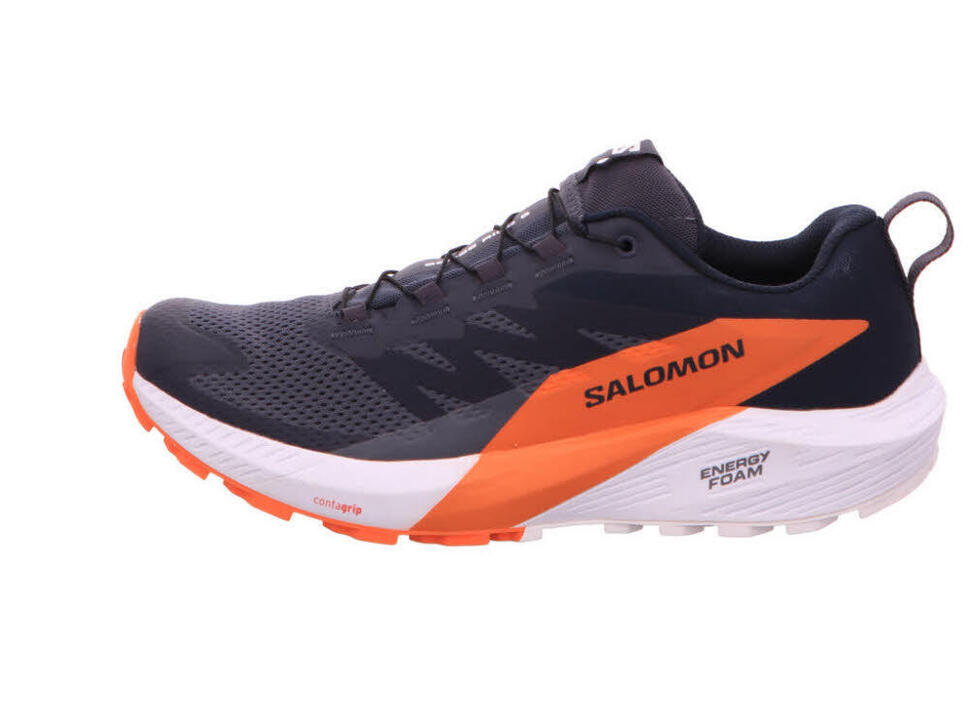 Buty do biegania męskie Salomon Sense Ride 5 Gtx Gore-tex