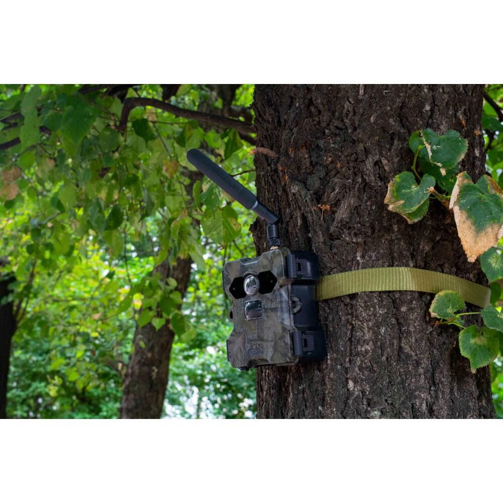 Technaxx 4G Wildcam TX-189 + Solar Panel 2/7