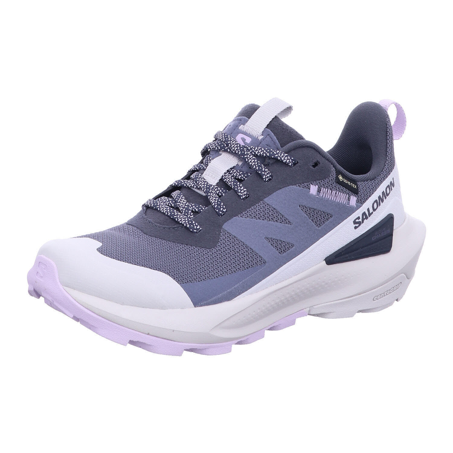 SALOMON picture