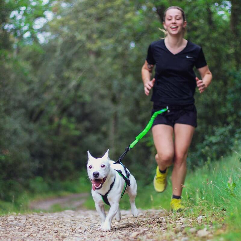 Laisse petit chien canicross Crosser 2 SD – Inlandsis 2/3