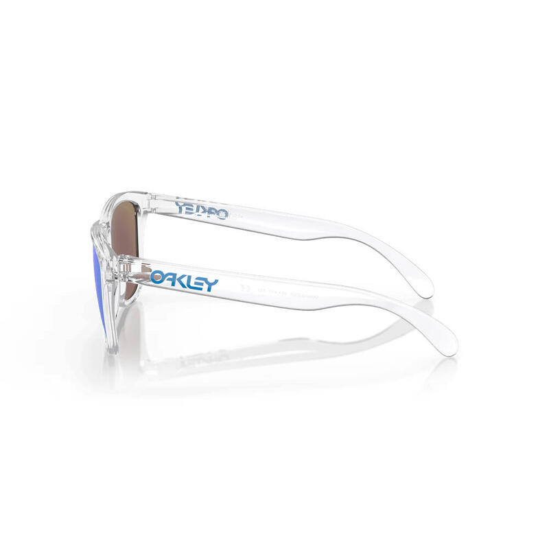 Oakley Frogskins zonnebril voor heren in blauw