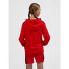 Enfiler Kapuzenpullover Hmlauthentic Multisport Enfant HUMMEL