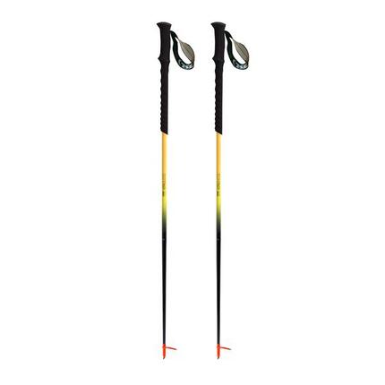 Stöcke TSL Addict Race carbon 1 ultra cross - winter spike