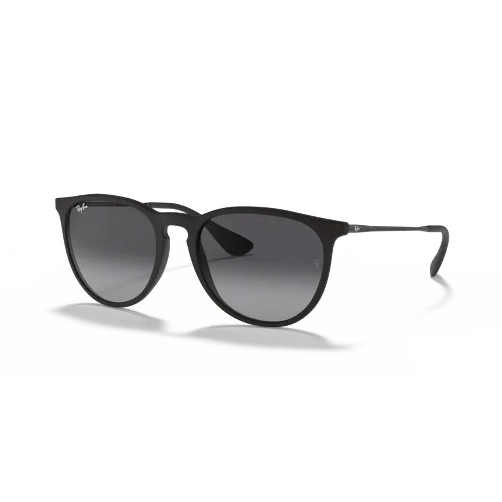 Ray-Ban Erika Sunglasses