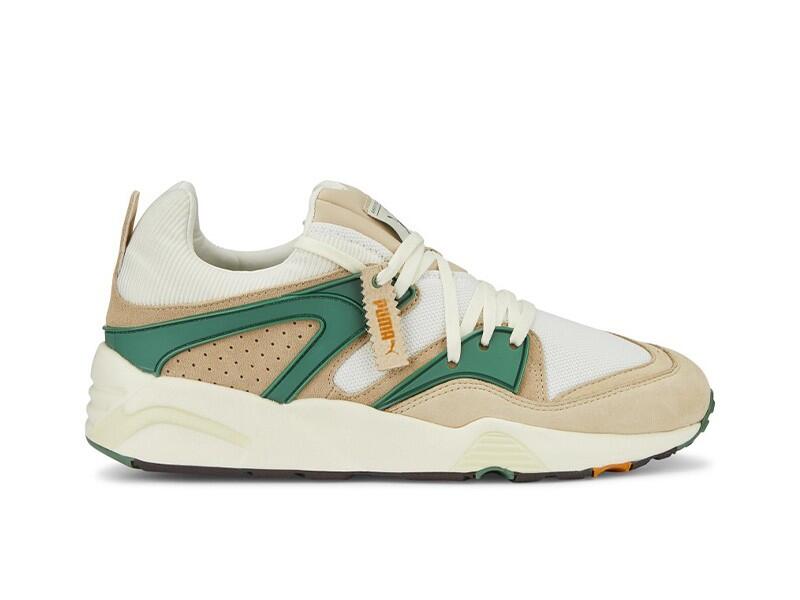 PUMA picture