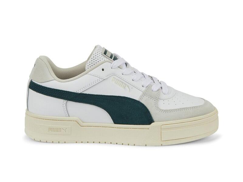 PUMA picture