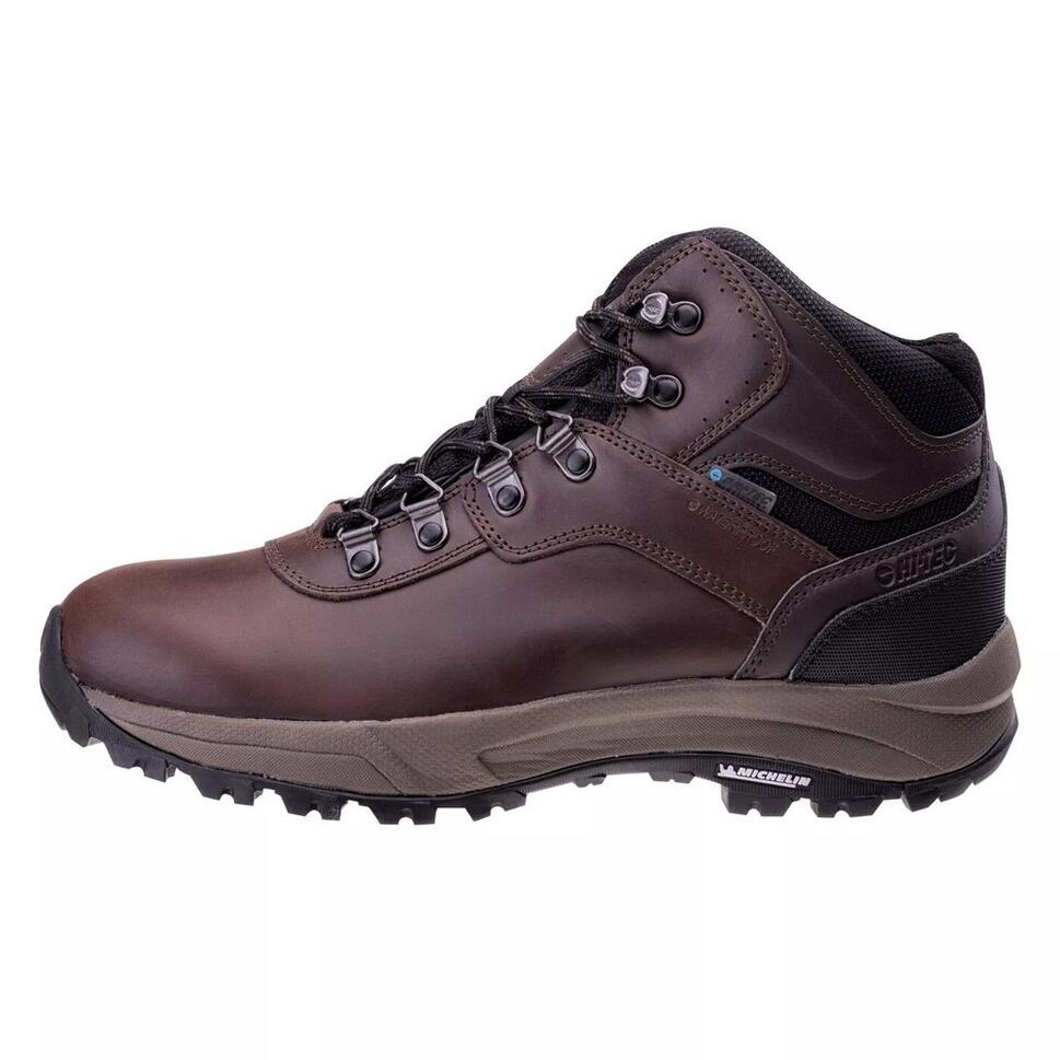 Męskie Wodoodporne Buty Turystyczne Altitude VI Leather