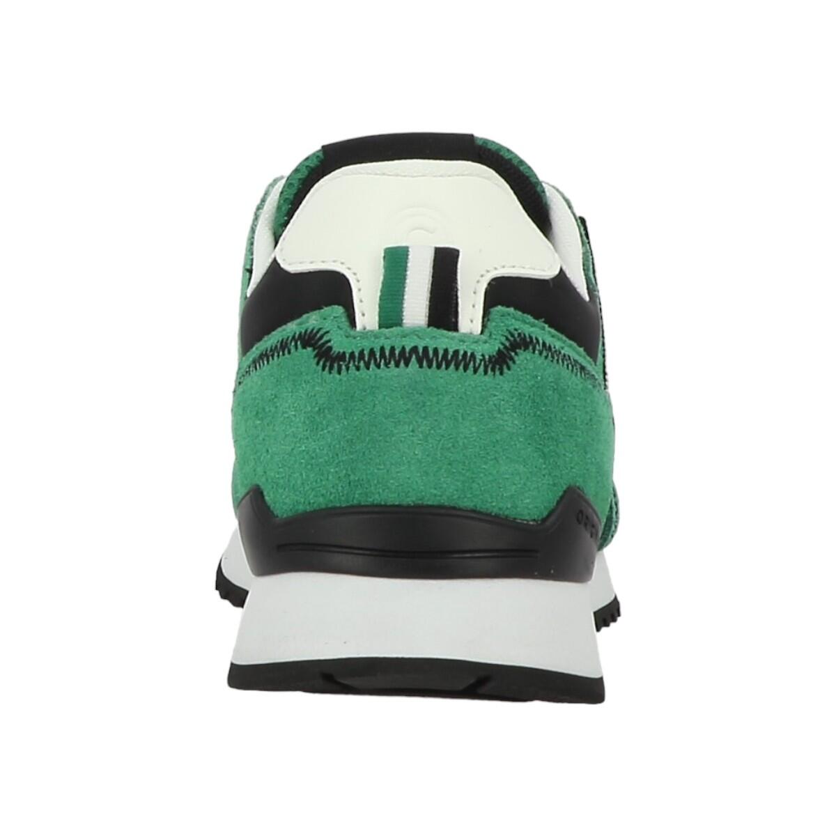 Baskets mode Homme TRAVIS SPORT BOLD Vert 5/6