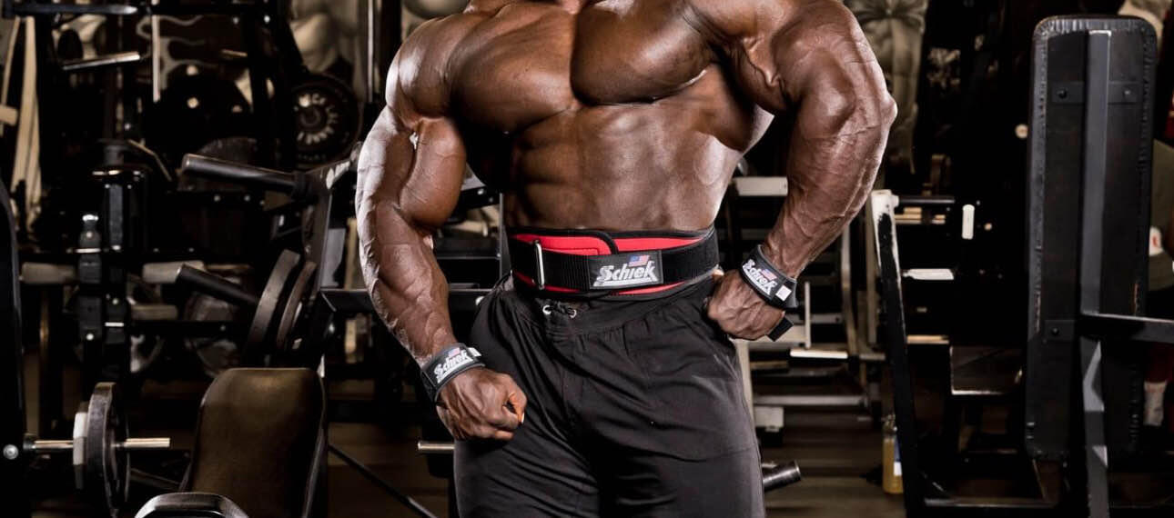 Profiled Lifting Belt Model 2004 5/5