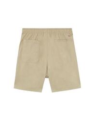 Pantalon pour homme Dickies Pelican Camel