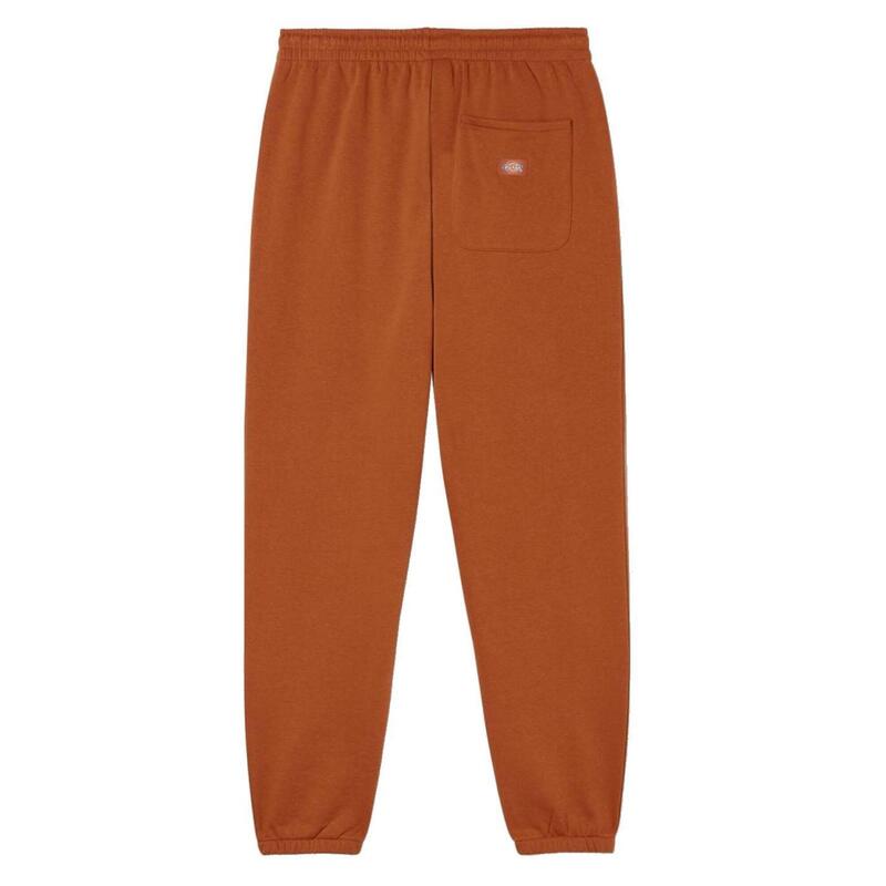 Pantalones largos/mallas para Hombre Dickies  Marrón