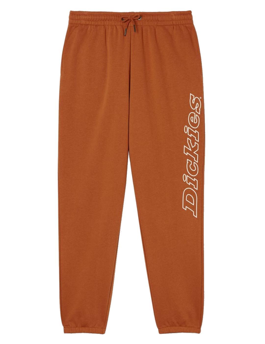 Pantalones y sobrepantalones para Hombre Dickies Uniontown  Marrón 2/3