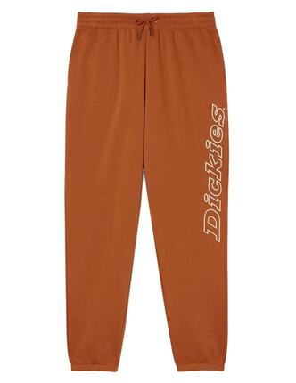 Pantalón para Hombre Dickies Uniontown Marrón