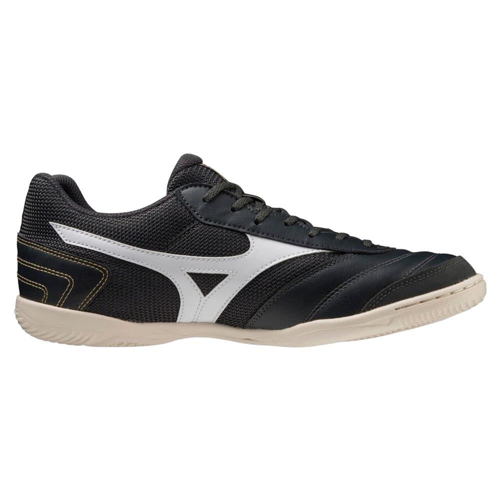 MIZUNO picture