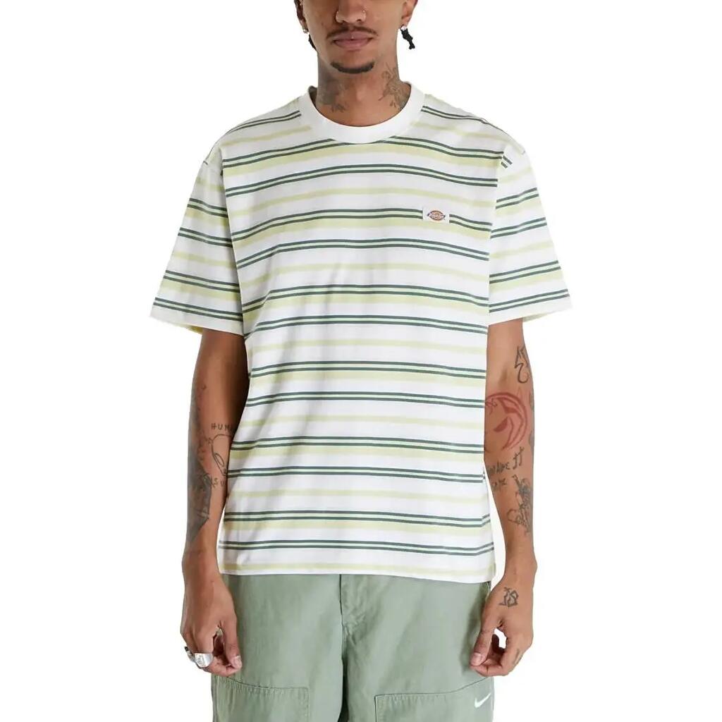 T-shirt pour homme Dickies Glade Spring multicolore